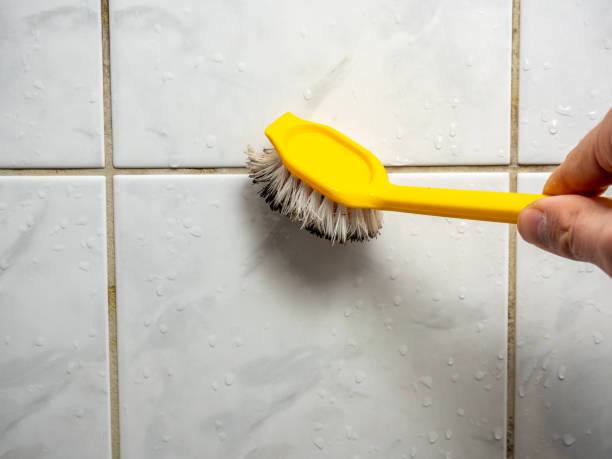 Best Mold Testing and Removal  in Mendota, CA