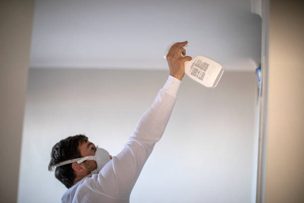 Best Mold Removal Company Near Me  in Mendota, CA