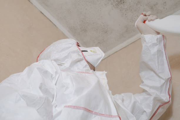 Best Mold Damage Repair  in Mendota, CA