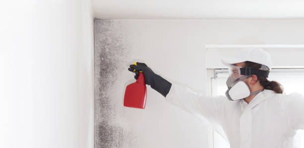 Best Mold Removal and Inspection  in Mendota, CA